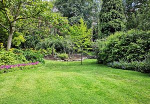 Optimiser l'expérience du jardin à Vaux-en-Vermandois